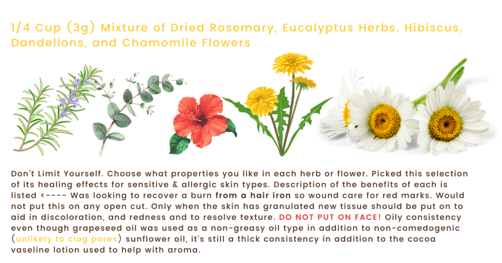 Different Flowers and Herbs and Their Benefits